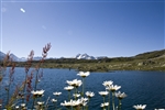 Grimselpass